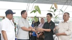 Pemerintah Kabupaten Luwu Gandeng Pemuda Tani Kembangkan 8 Juta Bibit Kakao