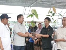 Pemerintah Kabupaten Luwu Gandeng Pemuda Tani Kembangkan 8 Juta Bibit Kakao