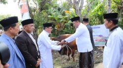 Iduladha 2026: Bupati Luwu Salat Id di Belopa, Ajak Warga Perkuat Solidaritas dan Gotong Royong
