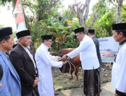 Iduladha 2026: Bupati Luwu Salat Id di Belopa, Ajak Warga Perkuat Solidaritas dan Gotong Royong