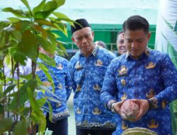 Dukung Swasembada Pangan, Pemkab Luwu Gelar Sarasehan dan Tudang Sipulung Pertanian 2026