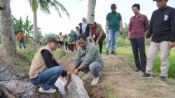 Atasi Kekeringan Sawah, Bupati Luwu Penyerahan Pompa Air dan Rencanakan Sumur Bor