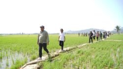 Bupati Luwu Serahkan Bantuan Pompa Air untuk Sawah Terdampak Kemarau di Larompong