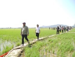 Bupati Luwu Serahkan Bantuan Pompa Air untuk Sawah Terdampak Kemarau di Larompong